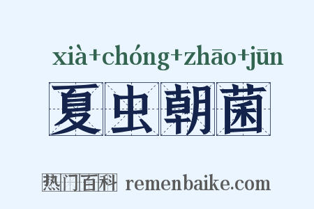 夏虫朝菌是什么意思的图片